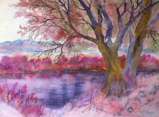 KONICA MINOLTA DIGITAL CAMERA