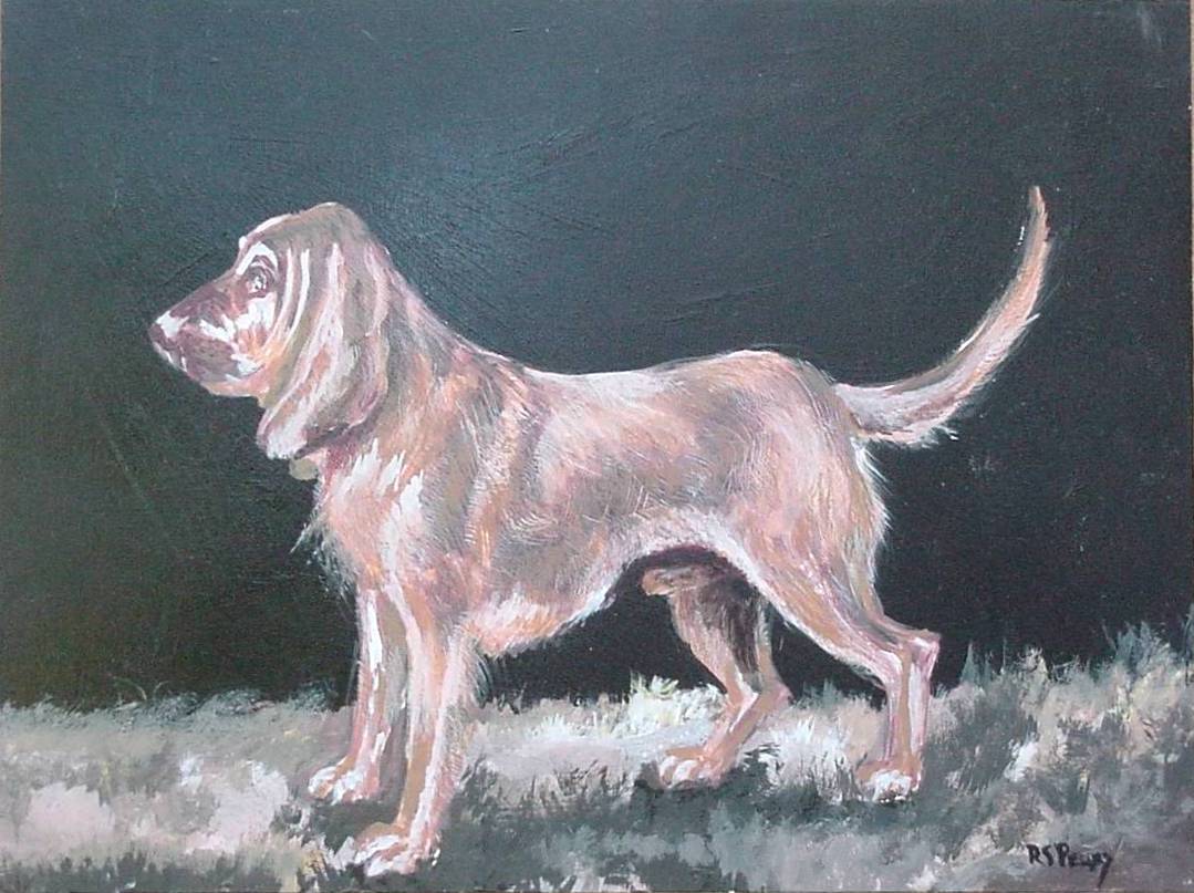 #25 Bloodhound 12x16