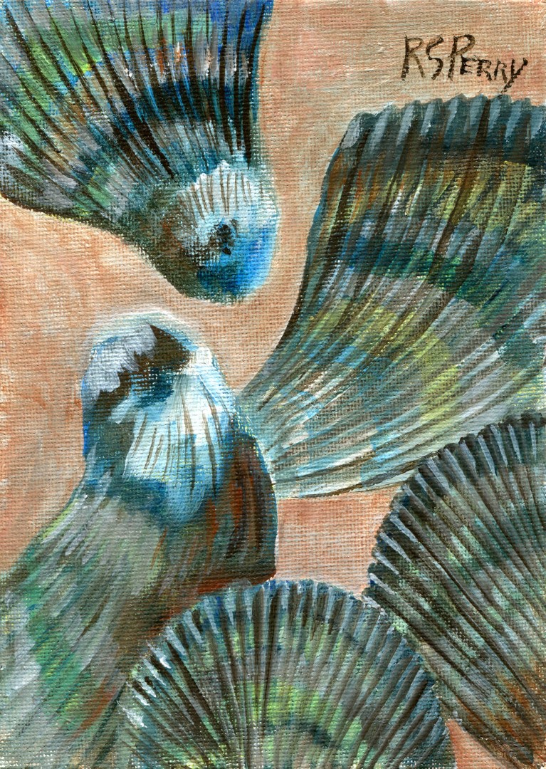 Atlantic Ribbed Mussels 2.1.2020-007 (Large)