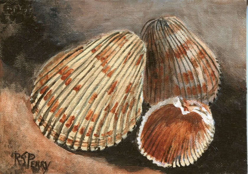 Cockles 2.1.2020-001 (Medium)