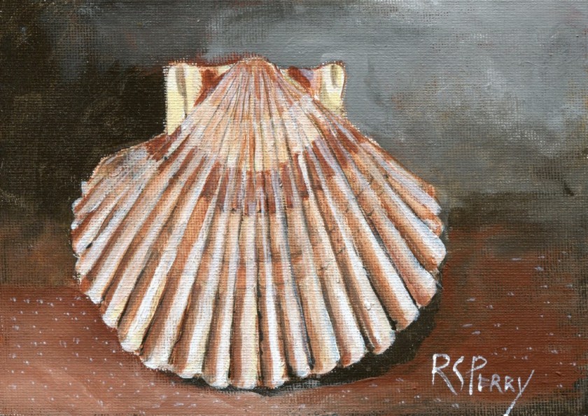 Scallop 2.1.2020-003 (Medium)