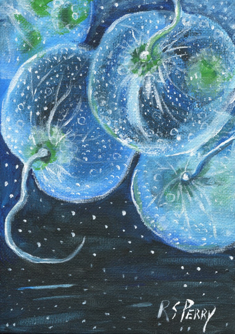 Bioluminescent dinoflagellate-001 (Large)