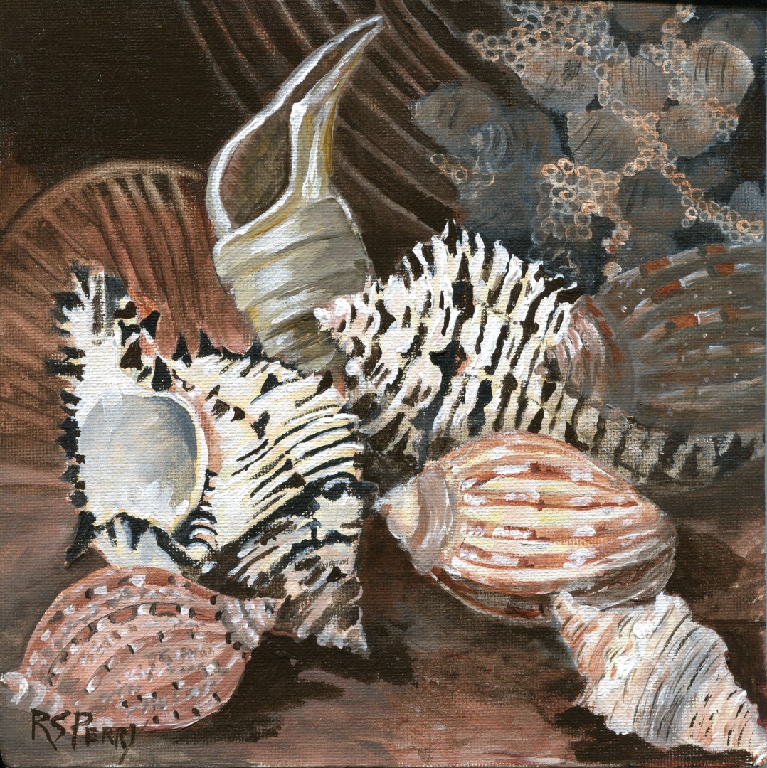 Cyetulus Spindle, Murex, Harp internet