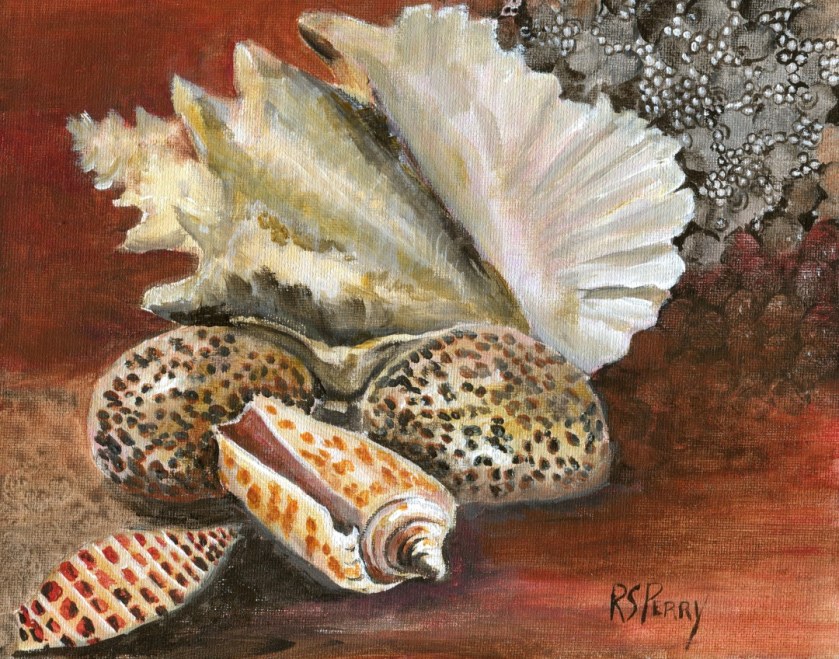 Junonia, Alphabet Cone, Tiger Cowrie, Queen Conch internet