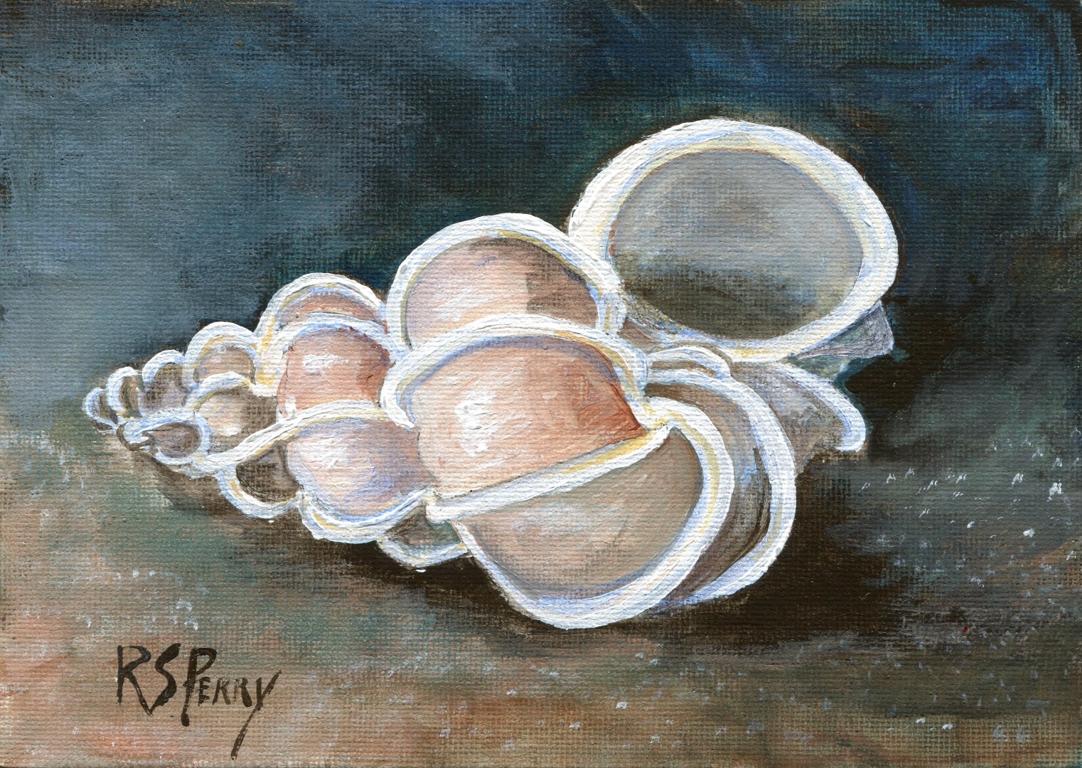 Precious Wentletrap internet